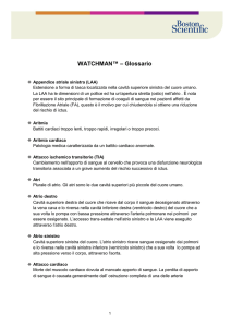 WATCHMAN™ – Glossario