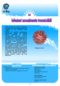 Sexually Transmitted Infection – SW 1 - e-Bug