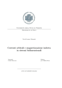 Correnti orbitali e magnetizzazione indotta in sistemi bidimensionali