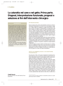 La cataratta nel cane e nel gatto. Prima parte. Diagnosi