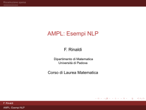 AMPL: Esempi NLP - Math Unipd