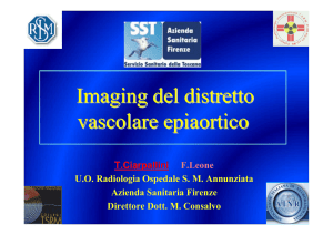 Imaging del distretto vascolare epiaortico