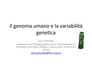 Sequenza Del Genoma Umano-Ottimo2015