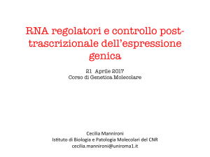 RNA regolatori_2017 - e