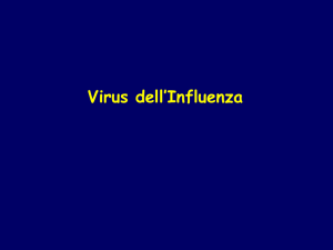 Il Virus dell`influenza