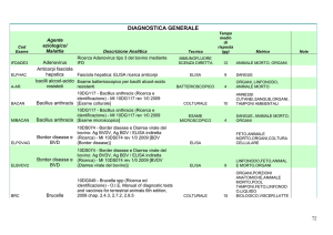 diagnostica generale