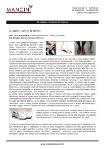pdf - Ortopedia Mancini