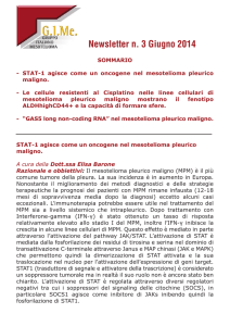 Scarica PDF - Gruppo Italiano Mesotelioma