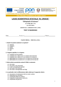 liceo scientifico statale “b. croce” - Liceo B Croce