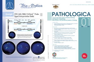 Journal of the Italian Society of Anatomic Pathology and Diagnostic