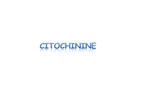 Citochinine