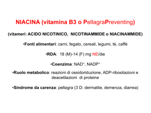 NIACINA (vitamina B3 o PellagraPreventing)