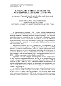 il trapianto di cellule nervose nel cervello fetale durante lo sviluppo