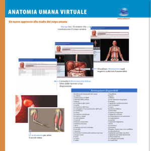 anatomia umana virtuale