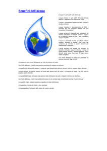Benefici dell`acqua - Erboristeria Arcobaleno