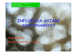 Influenza aviare Dr. Schianchi