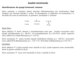 Analisi strutturale_2 File - e