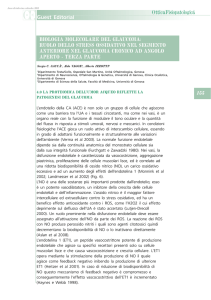 GuestEditorial_La Biologia Molecolare del Glaucoma ruolo dello