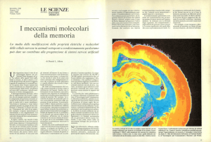 I meccanismi molecolari della memoria