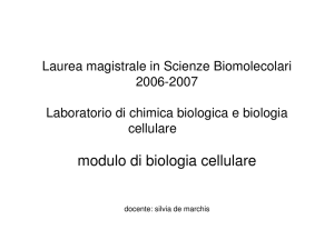 Cell Migration - Classe delle lauree magistrali in Biologia (LM-6)