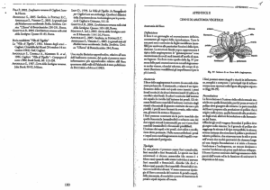 Leggi l`allegato  - Liceo Scientifico "LB Alberti"