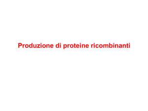 proteine ricombinanti 2 2015 - e