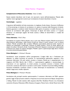 Fisica Teorica - Programmi Complementi di Meccanica Statistica