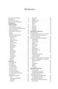 Le ghiandole esocrine Il sistema endocrino, la sua azione ed i suoi