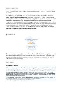 Il seno è costituito da un insieme di ghiandole e tessuto adiposo ed