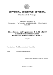 introduzione - Università degli Studi di Verona