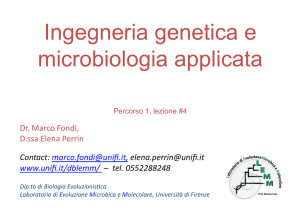 Ingegneria genetica e microbiologia applicata