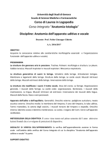 Corso di Laurea in Logopedia Corso Integrato “Anatomia
