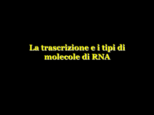 La Trascrizione e tipi di RNA
