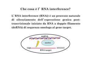 Che cosa è l` RNA interference? - e
