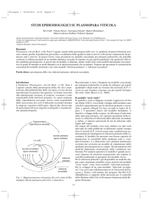 studi epidemiologici su plasmopara viticola