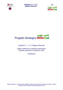 Progetto Strategico RISKNAT