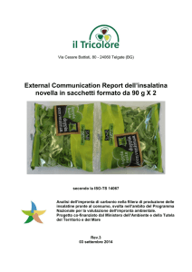 External Communication Report dell`insalatina novella in sacchetti