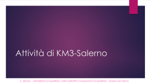Il database di KM3-Italia