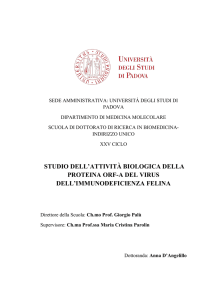 Documento PDF - Padua@Research