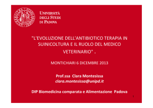 Presentazione Montesissa - Gruppo Veterinario Suinicolo Mantovano