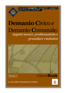 Demanio Civicoe DemanioComunale: