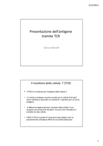 lezione 4 presentazione dell`antigene tramite TCR