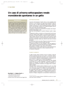 Un caso di urinoma sottocapsulare renale monolaterale spontaneo