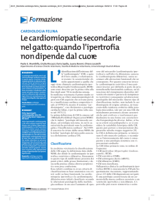 SUMMA cardiologia felina