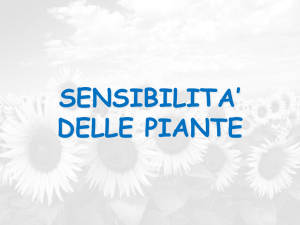 sensibilita` delle piante