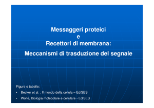 (Microsoft PowerPoint - Recettori Cellulari [modalit\340 compatibilit