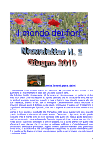 newsletter nr 2 - Unione Di Floriterapia