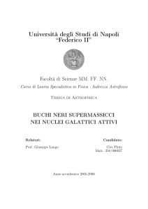 Università degli Studi di Napoli “Federico II” - Cambridge X