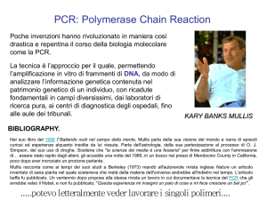 2-PCR, qPCR, sequenz, pyrosequenc