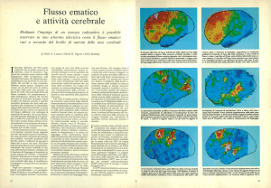 Flusso ematico e attivit&agrave; cerebrale